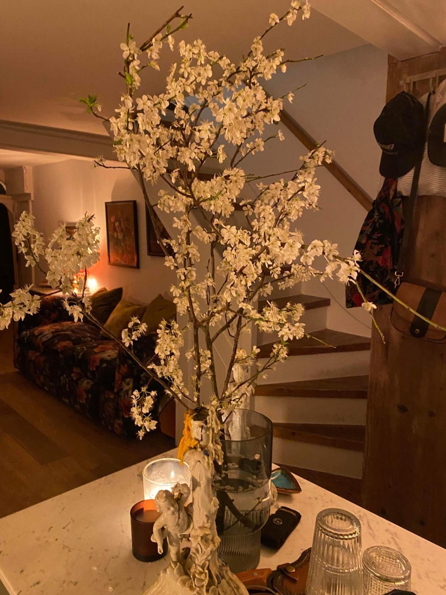 Stylish & Cosy Boutique Townhouse 1 Bedroom, 1 Sofa Bed - Sleeps 4 Christchurch  Eksteriør bilde